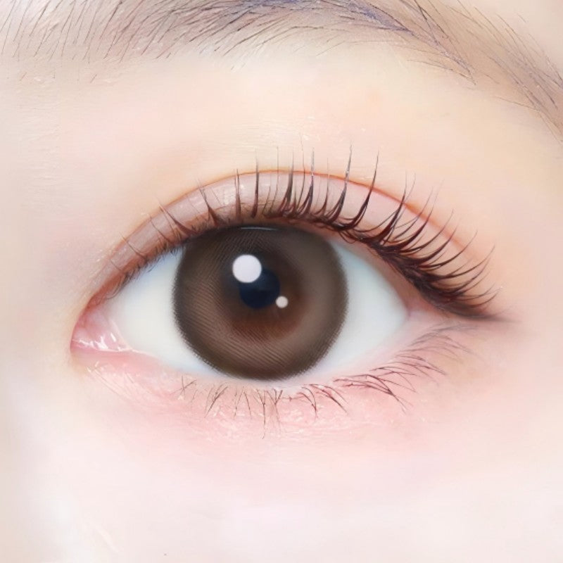 Ever Color 1 Day Natural Colored Contact Lens Milk Brownie -4.00 20pcs