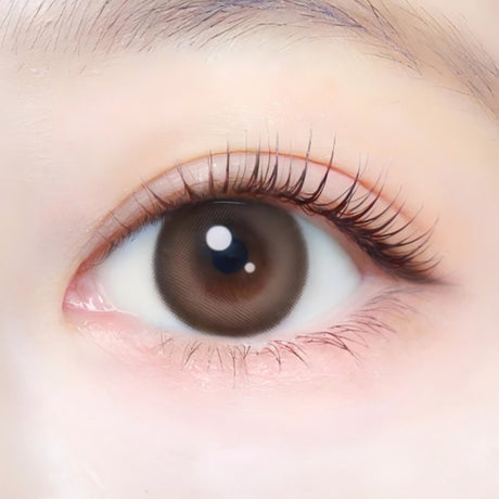 Ever Color 1 Day Natural Colored Contact Lens Milk Brownie -4.50 20pcs