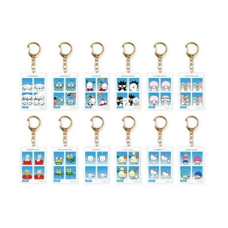 Sanrio Secret ID Photo Keychain Blind Box B