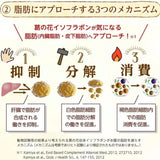 Shinya Koso新谷酵素植物酵素葛花肠清通控糖减脂 90粒/30日