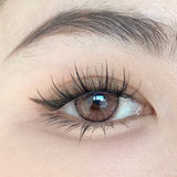Barrieyes日抛美瞳Pearl Brown -3.25 六枚
