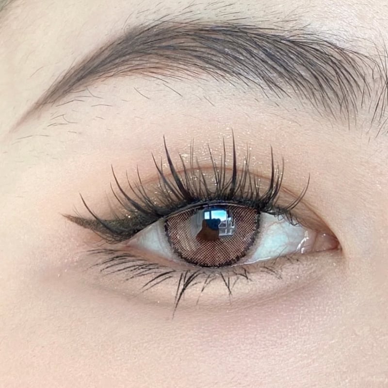 Barrieyes 1-Day Colored Contact Lens Pearl Brown -4.25 6pcs