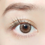 Barrieyes日抛美瞳Dawn Brown -2.75 六枚