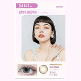 Barrieyes 1-Day Colored Contact Lens Dawn Brown -3.00 6pcs
