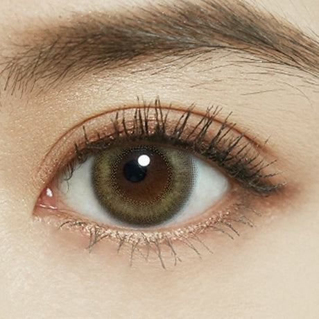 Fomomy 1-Day Color Contact Lens Honey Tan -2.00 10pcs