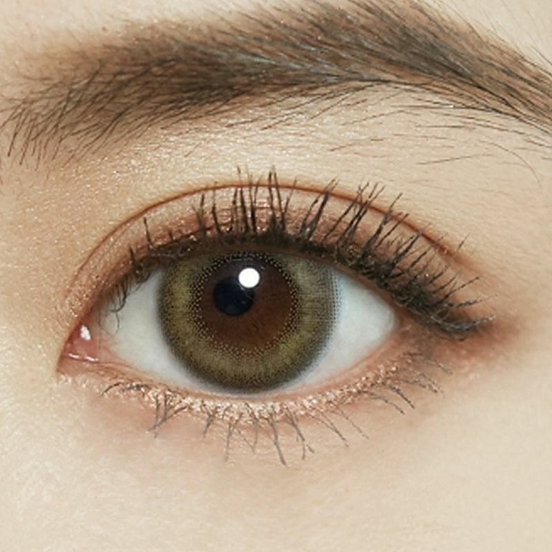 Fomomy 1 Day Color Contact Lens Honey Tan -5.00 10pcs