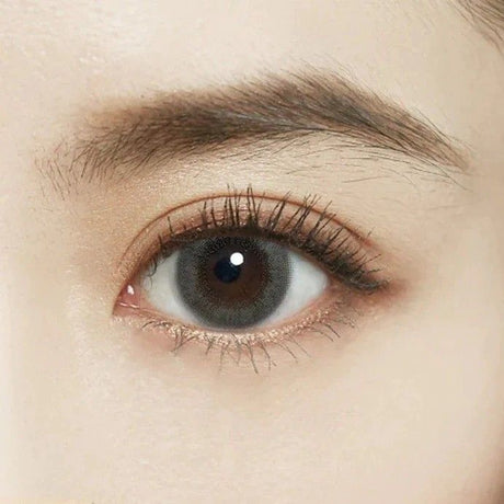 Fomomy 1 Day Contact Lens Mist Navy -4.50 10pcs