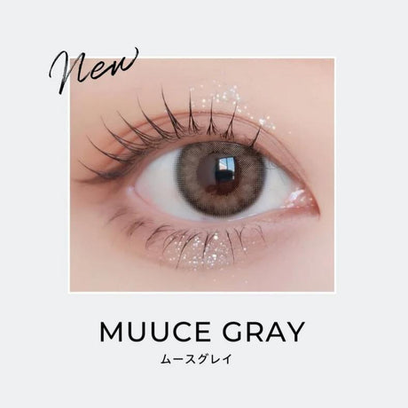 Envie 1-Day Color Contact Lens Muuce Gray ±000 10pcs