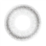 Envie 1 Day Colored Contact Lens Muuce Ash -2.00 10pcs