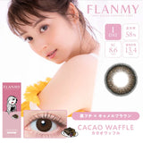 Flanmy 1 Day Colored Contact Lens Cacao Waffle ±000 10pcs