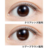Feliamo 1-Day Color Contacted Lens Sheer Brown ±0.00 10pcs