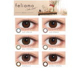 Feliamo 1-Day Color Contacted Lens Sheer Brown ±0.00 10pcs