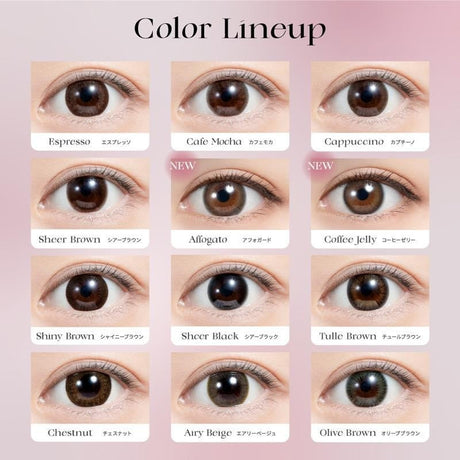 Feliamo 1-Day Color Contacts Lens Sheer Brown -5.00 10pcs