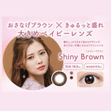 Feliamo日抛美瞳Shiny Brown -6.50 十枚