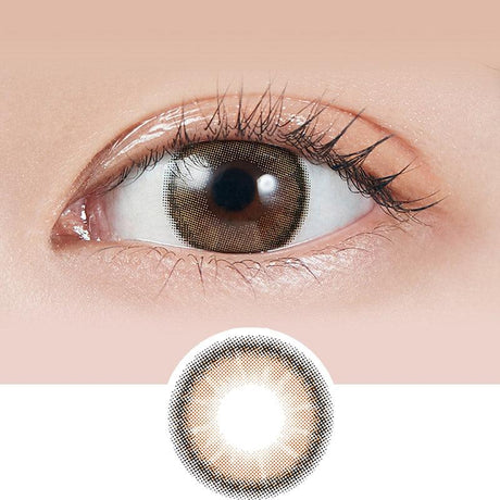 Molak 1-Day Colored Contact Lenses Dazzle Beige -2.50 10pcs