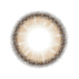 Molak日抛美瞳Dazzle Beige -2.50 十枚