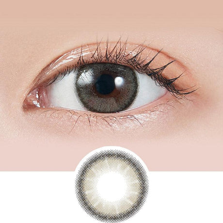 Molak 1-Day Colour Contact Lenses Dazzle Gray -2.50 10pcs