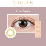 Molak日抛美瞳Coral Brown -5.50 十枚