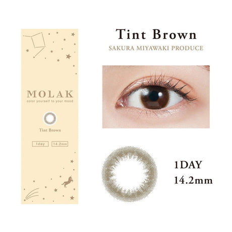 Molak 1-Day Colored Contact Lens Tint Brown -4.00 10pcs