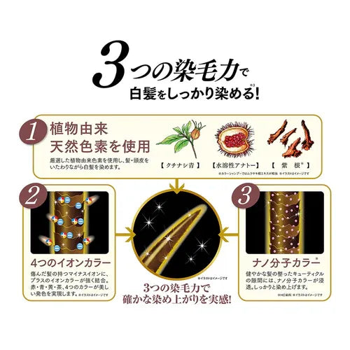 Rishiri Kombu利尻昆布天然植物染发护色剂浅棕色 200g