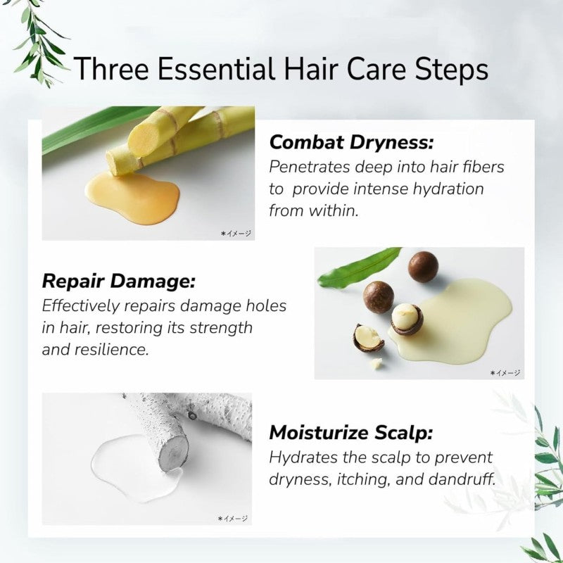 Botanist Botanical Hair Treatment Moist Apple & Berry 490ml