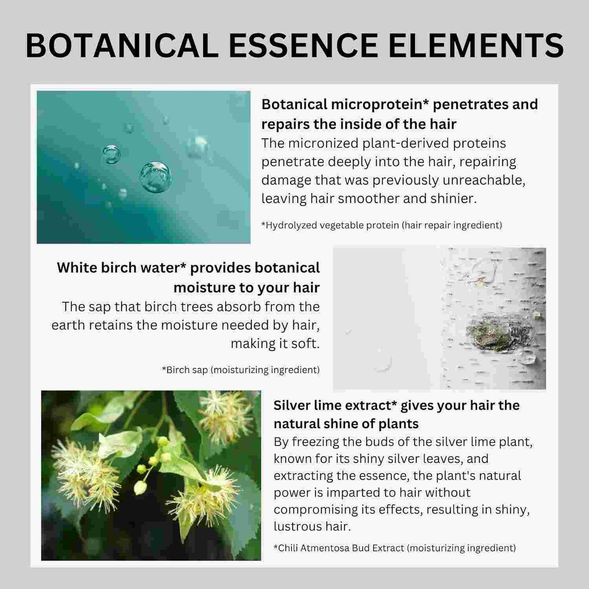 Botanist Botanical Shampoo Repair Iris & Freesia 490ml