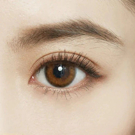 Fomomy 1-Day Color Contact Lenses Gem Brown -4.00 10pcs