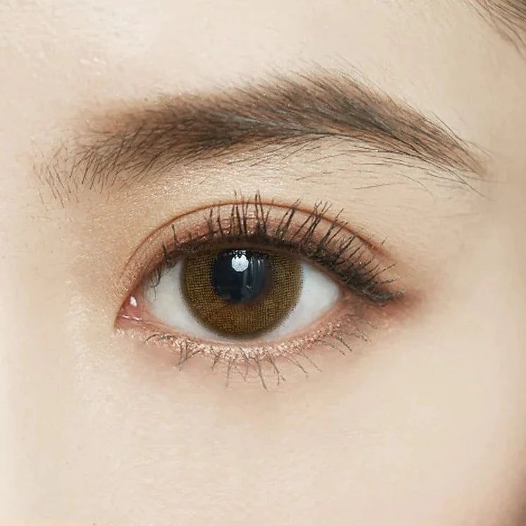 Fomomy 1 Day Contact Lens Milk Tea -6.00 10pcs