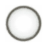 Fomomy Light日抛美瞳Light Gray -1.50 20枚