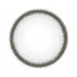 Fomomy Light 1-Day Colored Contact Lens Light Gray -2.50 20pcs