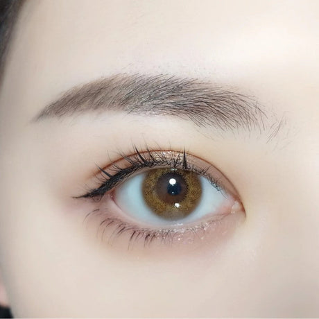 Fomomy 1-Day Color Contact Lens #Coco Amber -1.50 10pcs