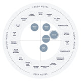 Shiro皂香洗衣液 1000ml