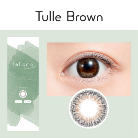 Feliamo 1-Day Color Contact Lenses Tulle Brown -5.50 10pcs