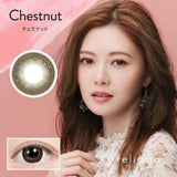 Feliamo日抛美瞳Chestnut ±000 十枚