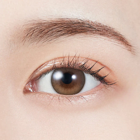 Molak 1 Day Colored Contact Lens Dollish Brown ±000 10pcs