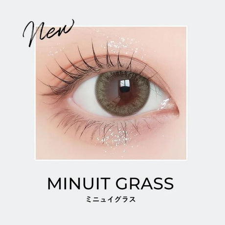 Envie日抛美瞳Minuit Grass ±000 10枚