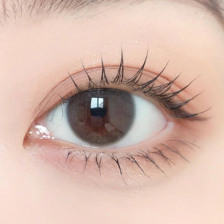 Envie 1-Day Lenses Classic Amber ±0.00 30pcs