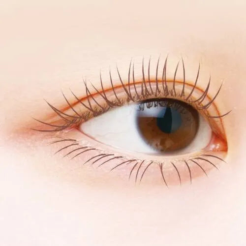 Canmake井田极细小弯头睫毛膏#02自然棕