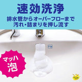 Earth Chemical Foaming Cleaner for Drain of Sink 200ml