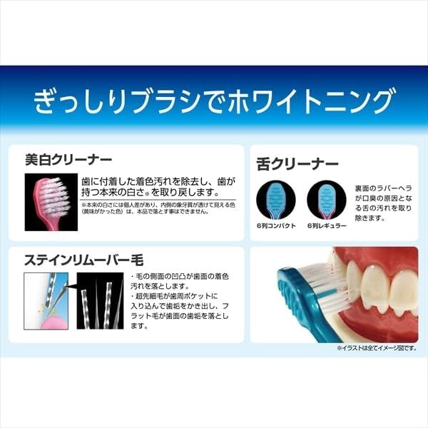 Ebisu惠百施全优护齿牙刷52寸B-3606M