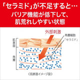 Kao Curel花王珂润保湿爽肤水2号 150ml