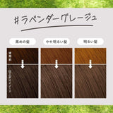Kao Liese Creamy Bubble Color Lavender Greige 115ml