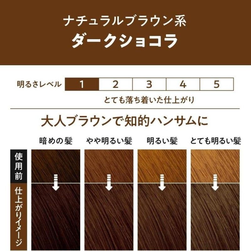 Kao Liese Creamy Bubble Hair Dye #DARK CHOCOLATE