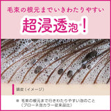 Kao Blaune Bubble Hair Color For Gray Hair #6 Dark Brown