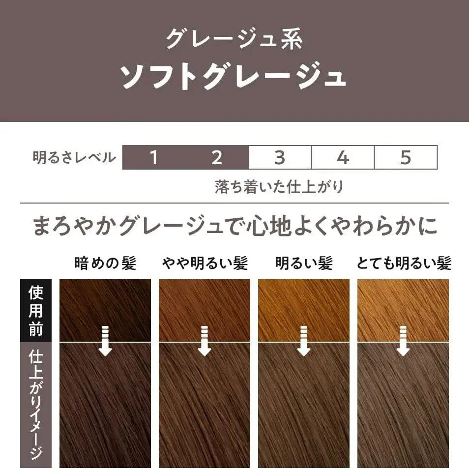 KAO Liese Prettia Bubble Hair Color Foam Soft Greige