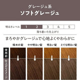 KAO Liese Prettia Bubble Hair Color Foam Soft Greige