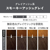 Kao Liese Prettia Bubble Hair Color Smoky Ash Gray