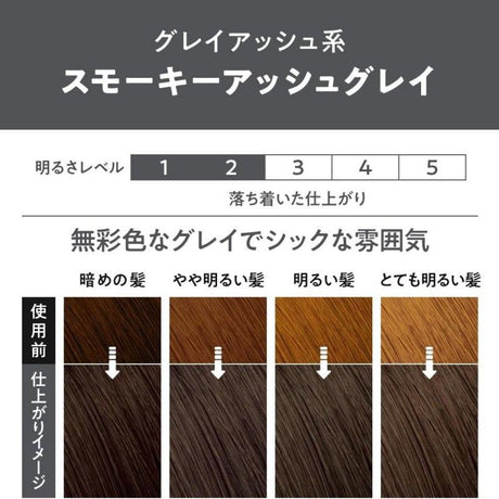 Kao Liese Prettia Bubble Hair Color Smoky Ash Gray