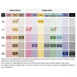 Kao Liese Prettia Bubble Hair Color Smoky Ash Gray