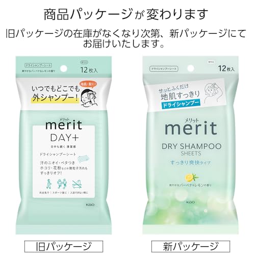 KAO Merit Day Plus Dry Shampoo Sheets White Green 12pcs